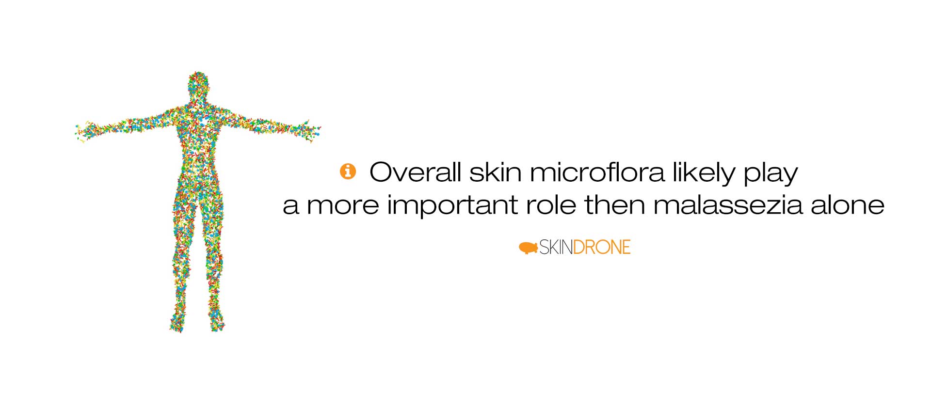 Overall skin micrflora is likely to play a more important role in seborrheic dermatitis than malassezia alone