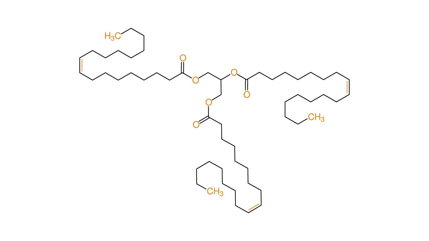 Molecule structure of triolein - a triglyceride of oleic acid