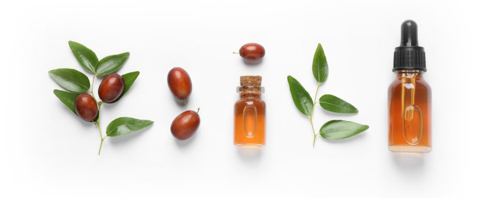 Flacon d'huile de jojoba avec un bouchon compte-gouttes à côté de quelques branches et haricots de jojoba