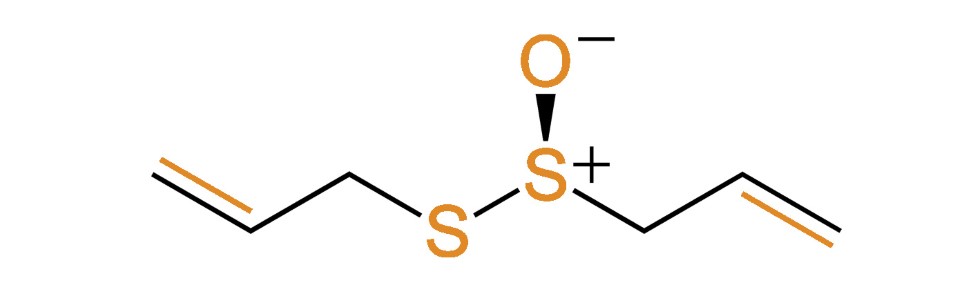 Formule structurelle de la R-allicine