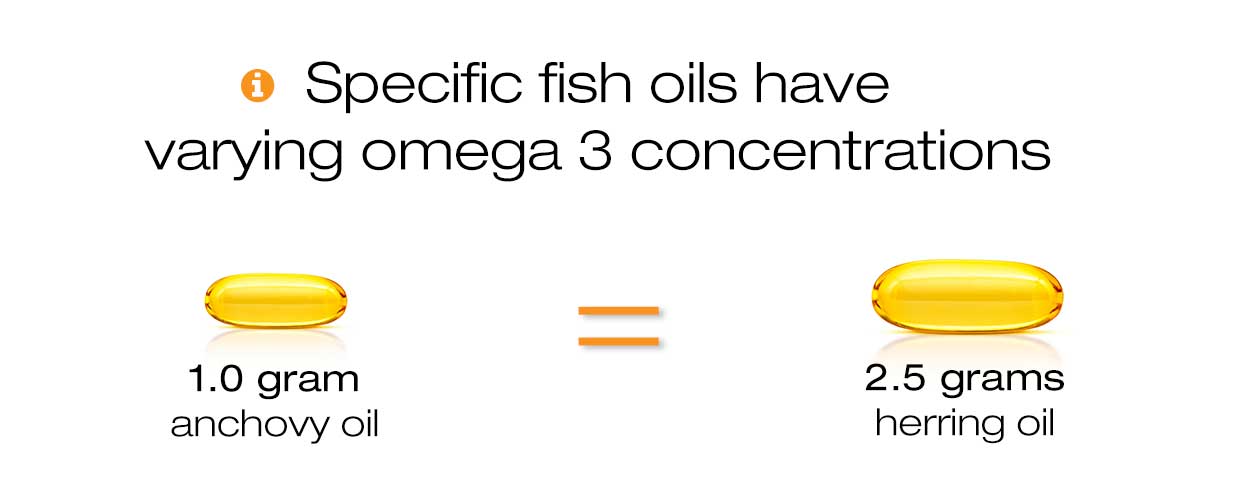 Banner que indica que las concentraciones de omega 3 difieren entre los aceites de pescado: la imagen muestra una pequeña cápsula de 1 gramo de aceite de anchoa en comparación con una cápsula de 2,5 gramos de aceite de arenque