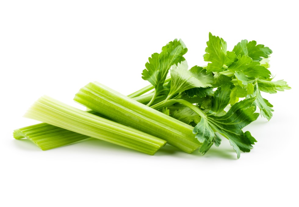Several cut-up stalks of celery lying beside in formation ready to be juiced